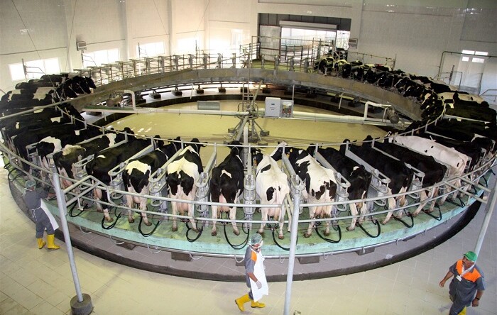 Türk süt ürünleri sektörüne dünyanın en kalabalık nüfusuna sahip Çin pazarının kapıları açıldı