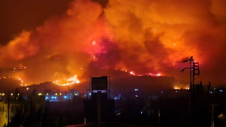 Hatay ilçelerindeki orman yangınlarının organize terör faaliyetleri olduğu ortaya çıktı