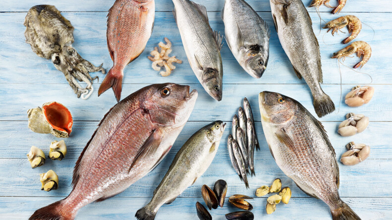 ‘Balık ve deniz ürünleri D vitamini açısından da en önemli besinlerden biri’