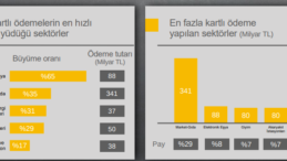 2020 yılında, kartlı ödeme tutarının en hızlı arttığı sektör elektronik eşya oldu