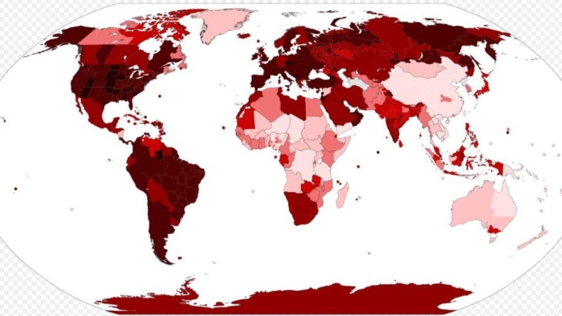 Dünyada Pandemi virüsüyle yaşamanın İlk Yılı Raporu-1