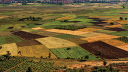 Tarımsal girdi fiyat endeksi (Tarım-GFE) yıllık %19,60, aylık %1,40 arttı