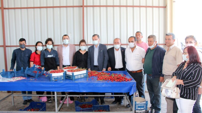 CHP, Sancaklıbozköy’de Kiraz Üreticisinin Sıkıntılarını Dinledi