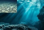Okyanusların Derinliklerinde ‘Karanlık Oksijene’ rastlandı!