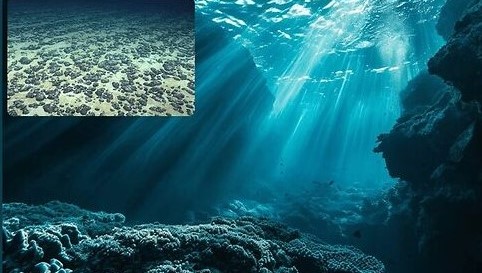 Okyanusların Derinliklerinde ‘Karanlık Oksijene’ rastlandı!