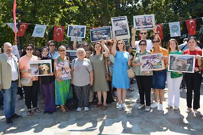 Sokak Hayvanlarına Yönelik Düzenleme Tepki Çekti