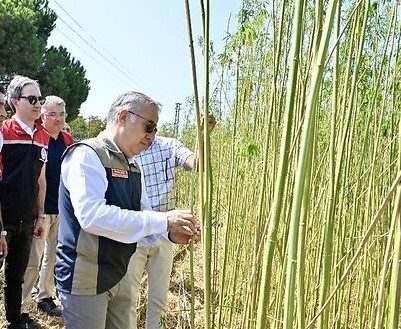 Türkiye’de Kenevir Üretiminde Farkındalık Oluşmaya Başladı!