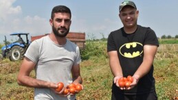 Üretici Feryatta: ‘Sesimizi Artık Duyun, Yarın Çok Geç Olabilir!’