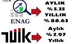 TÜİK ile ENAG arasında Enflasyon Farkı Büyüyor!