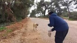 Hacı Ahmet Ünlü’den Sokak Canları Hassasiyeti