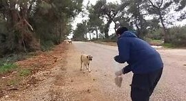 Hacı Ahmet Ünlü’den Sokak Canları Hassasiyeti