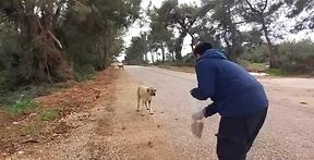 Hacı Ahmet Ünlü’den Sokak Canları Hassasiyeti