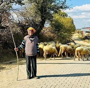 Şehirden Köye Tersine Göç Mümkün mü?